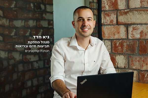 ביטוח בריאות לארגונים וחברות