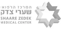 שערי צדק